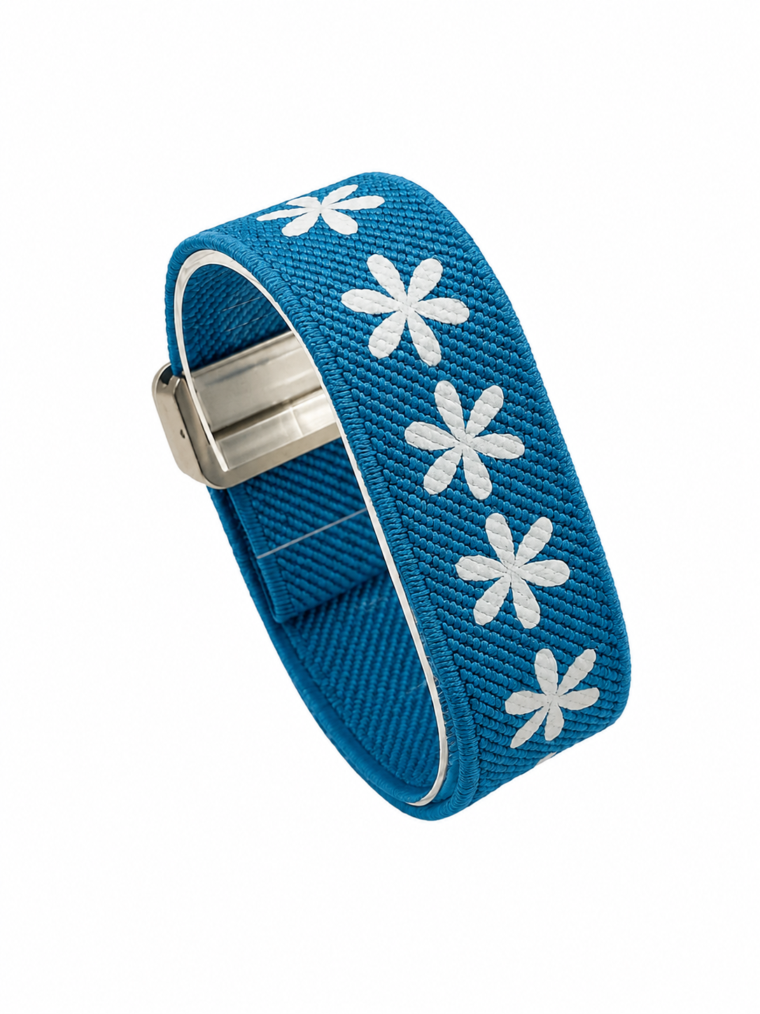 Daisy Blue fiil band